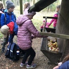 Čím, kdy a proč se zvěř přikrmuje? Foto: Archiv 2. ZŠ, S. Kántorová