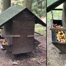 Prostřeno. Foto: Archiv 2. ZŠ, S. Kántorová