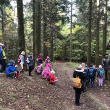 Poznáte lesní zvěř? Foto: Archiv 2. ZŠ, S. Kántorová