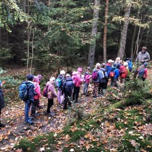 Mládeži se z lesa nechce. Foto: Archiv 2. ZŠ, S. Kántorová