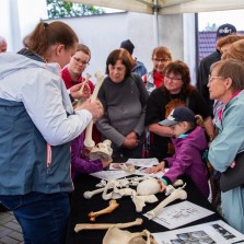 Vyprávění o kostech je velmi zajímavé. Foto: Milan Šustr