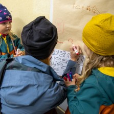 Nejhorší je mít ve jméně ptáky a lvy. Foto: Milan Šustr