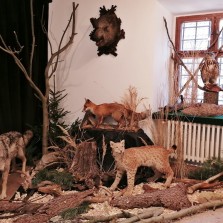 Predátoři černé zvěře - třetí místnost výstavy. Foto: Kamila Dvořáková