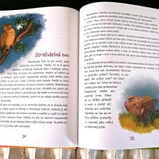 Krásné ilustrace v knížce Prasátko Štětinka. Foto: Kamila Dvořáková
