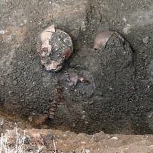 Nálezy lidských ostatků na bývalém hřbitově u kostela sv. Prokopa za Moučkovým domem. Foto: Kamila Dvořáková