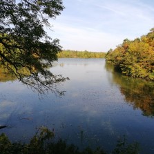 Výhled na Huťský rybník. Foto: Kamila Dvořáková