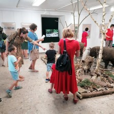 Návštěvníci na výstavě. Foto: Kamila Dvořáková