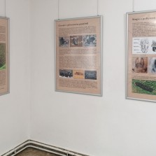 Panely o životě a prostředí prasat divokých. Foto: Kamila Dvořáková