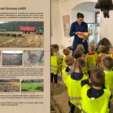 Děti zjišťují kde a proč prasata divoká škodí. Foto: Kamila Dvořáková, Archiv RM