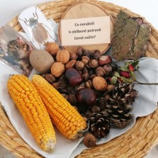 Co by divoká prasata nejedla? Foto: Kamila Dvořáková