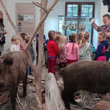 Vyprávění o trofejích. Foto: Simona Dajčová