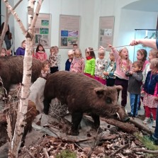 Co jsou světla, slechy, běhy, lizák, pírko a co prase dělá, když se kaliští, ždímá, nebo má období chrutí?  Foto: Simona Dajčová