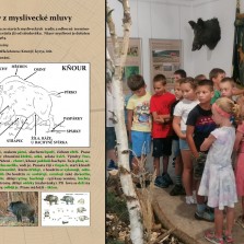 Seznámení s mysliveckou mluvou. Foto: Kamila Dvořáková, 2. B. 2. ZŠ