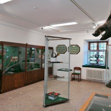 Druhá místnost výstavy ČERNÍ RYTÍŘI NAŠICH LESŮ. Foto: Kamila Dvořáková