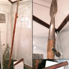 Kančí oštěp. Foto: Kamila Dvořáková