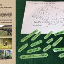 Lovec černé zvěře musí znát také mysliveckou mluvu. Foto: Kamila Dvořáková