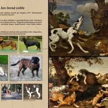 Lovečtí psi a jejich úloha při honu. Foto: Kamila Dvořáková