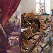 Největší predátor černé zvěře – člověk. Foto: Wikipedie, 2. B. 2. ZŠ