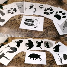 Poznávání stop. Foto: Kamila Dvořáková