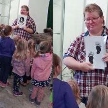 Komu patří tato stopa? Foto: Simona Dajčová