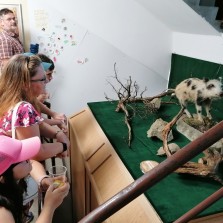 Návštěvníci na chodbě muzea. Foto: Kamila Dvořáková