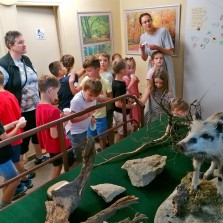Děti na chodbě poslouchají, odpovídají na dotazy i tvoří. Foto: Kamila Dvořáková