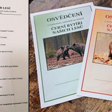 Kvíz znalostí nabytých na výstavě a osvědčení znalostí pro třídy. Foto: Kamila Dvořáková