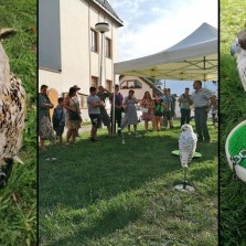 Sokolník a jeho svěřenci. Foto: Kamila Dvořáková