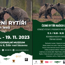 Plakáty výstavy a vernisáže.