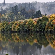 Les se těší na další návštěvníky na podzim 2024. Foto: Martina Schutová