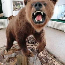 Výstava SOUŽITÍ S VELKÝMI ŠELMAMI. Foto: Kamila Dvořáková