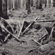 17 Jeden z dočasných partyzánských táborů byl umístěn i na Kamenném vrchu, v jámě byla umístěna provizorní dřevěná konstrukce.