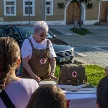 Vyprávění o zdravotnictví za 2. světové války. Foto: Milan Šustr