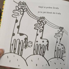 Ukázka tvorby Saši Gr. Foto: Martina Schutová