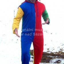 Rozverný klaun. Foto: Libor Lhotský