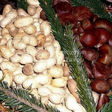 Dobroty adventního času. Foto: Kamila Dvořáková