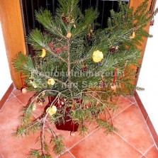 Tradiční výzdoba. Foto: Kamila Dvořáková