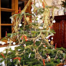 Vánoční stromeček se svíčkami, zlacenými oříšky, sněhovým pečivem a zlatými řetězy. Foto: Kamila Dvořáková