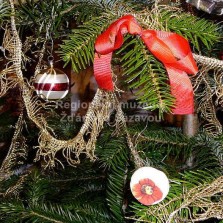 Detail stromečku. Foto: Kamila Dvořáková