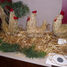 Sypání máku slepicím. Foto: Kamila Dvořáková