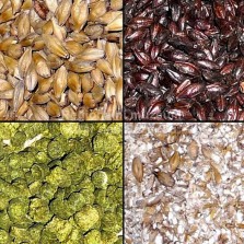 Suroviny k výrobě piva - detail. Foto: Kamila Dvořáková