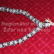 Páteř korálový. Foto: Kamila Dvořáková