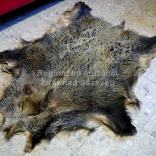 Kůže z divočáka před soudem - stály na ní osoby snížené. Foto: Kamila Dvořáková