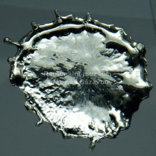 Cín. Foto: Jiří Grégr