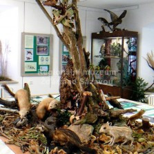 Diorama se zvířaty. Foto: Kamila Dvořáková