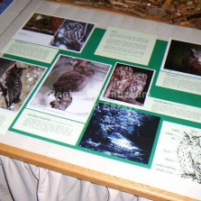 Informace o sovách. Foto: Kamila Dvořáková