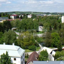 Zeleň v okolí řeky Sázavy. Foto: Kamila Dvořáková