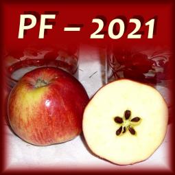 PF – 2021